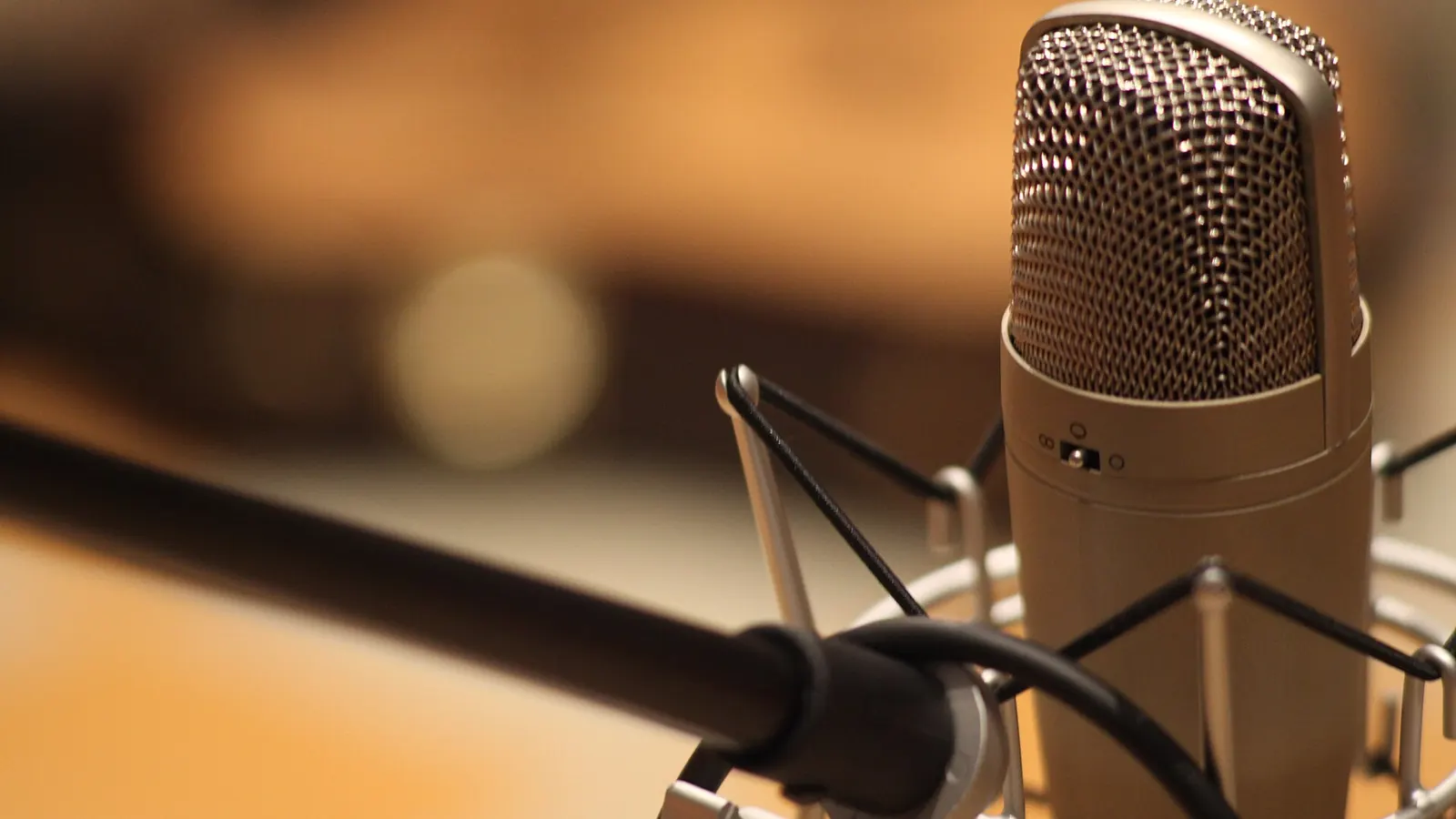Condenser microphone in a recording booth