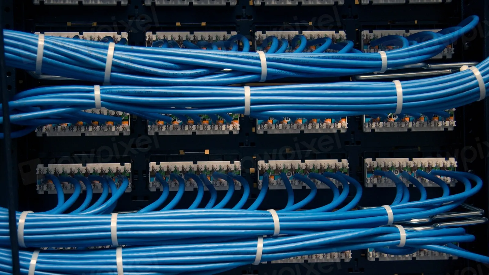 Network switch with rows of blue cables